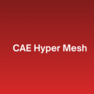 CAE Hyper Mesh