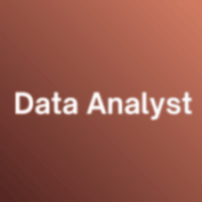 Data Analyst