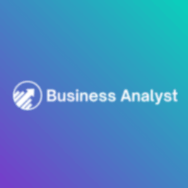 Business Analyst